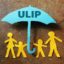 Understand Your ULIP Returns before Investing
