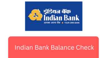 Save Time and Money by Checking Your Indian Bank Balance Check