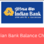 Save Time and Money by Checking Your Indian Bank Balance Check