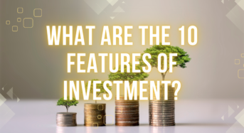 What are the 10 features of investment?