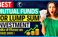 Top Mutual Fund for Lumpsum Investment to Invest in 2024
